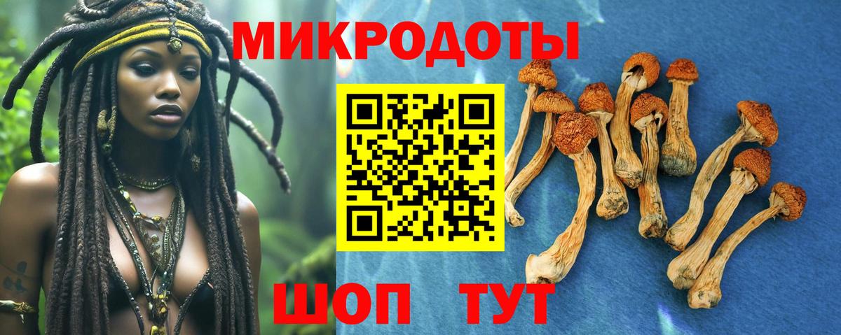 Калининград  Галлюциногенные грибы ЛСД  Псилоцибиновые грибы Psilocybine cubensis  купить   Вход с VPN 