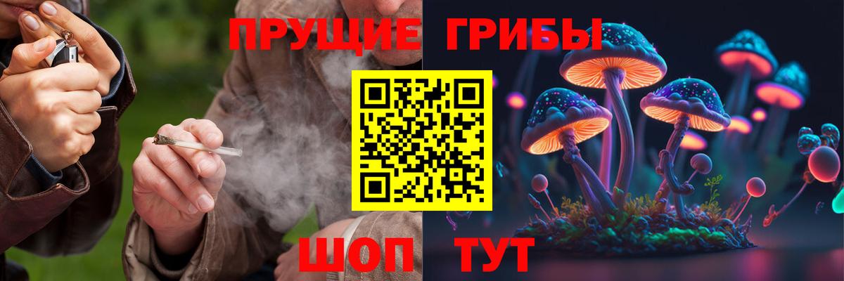 Псилоцибиновые грибы прущие грибы Калининград